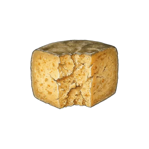 Cheese