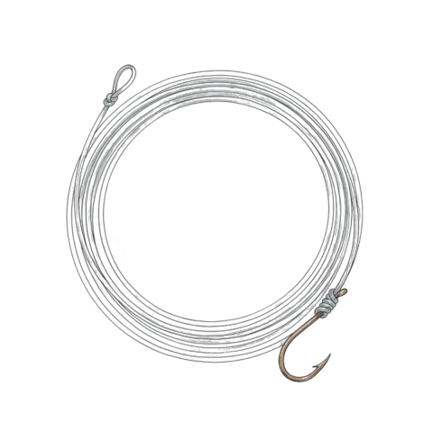 Monofilament leader