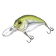 Crankbait fishing lure