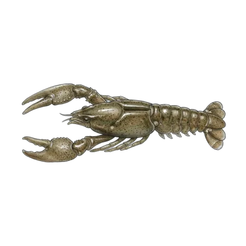Craw fishing lure