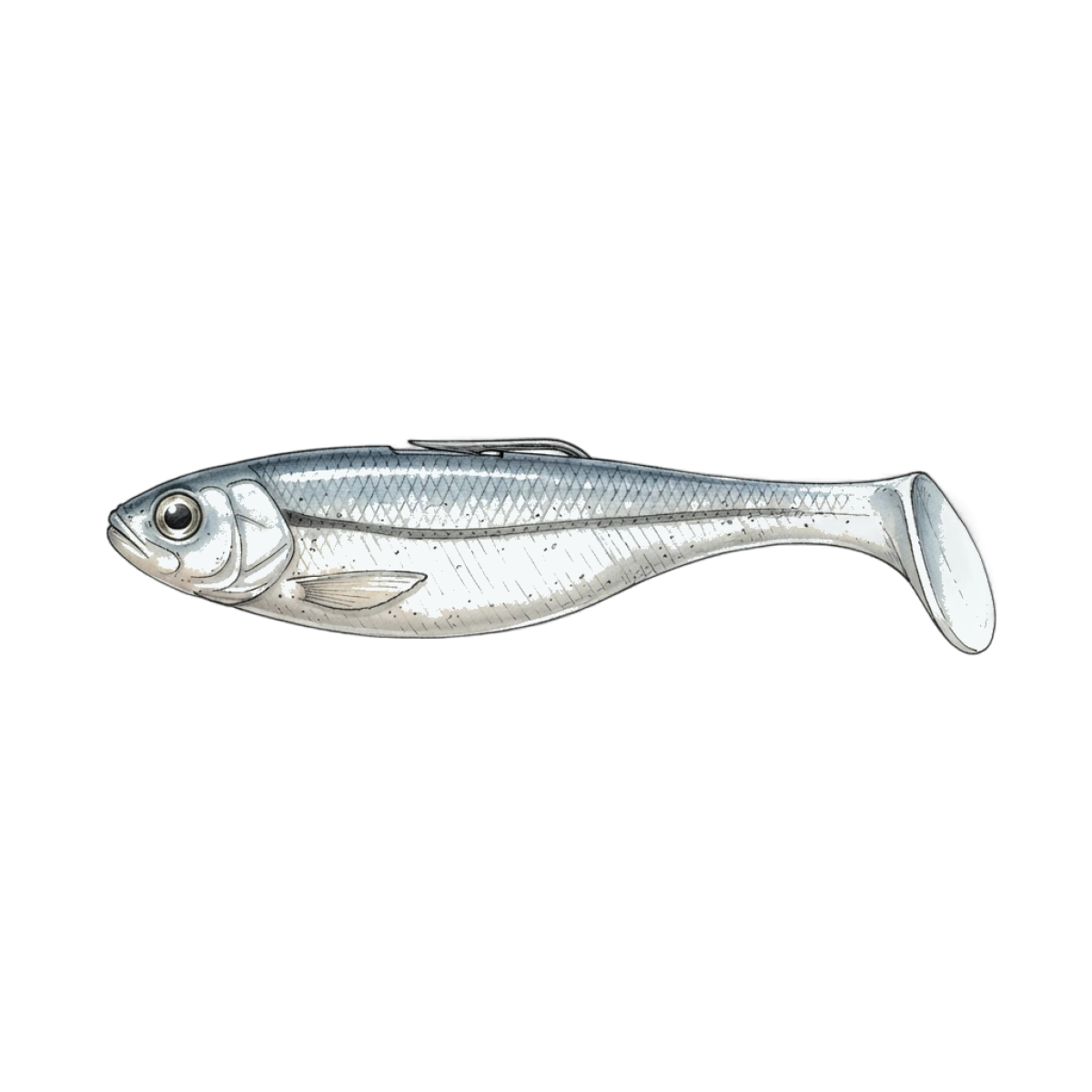 Shad fishing lure