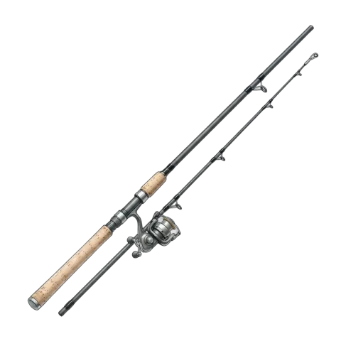Carp rod