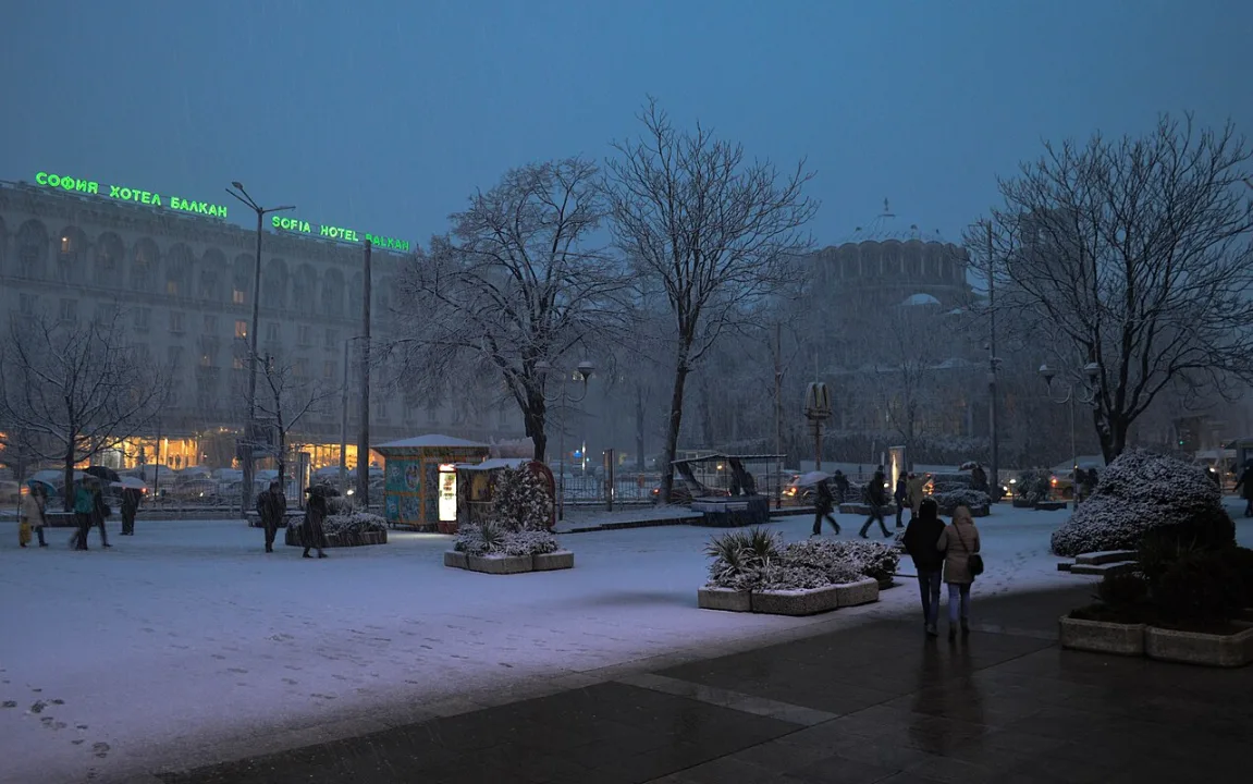 Sofia — Francisco Anzola / Wikimedia Commons / CC BY 2.0