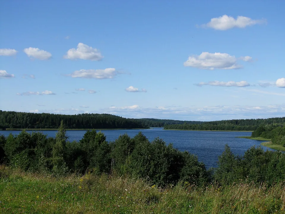 Ushachy — Большаков Сергей / Wikimedia Commons / Public domain