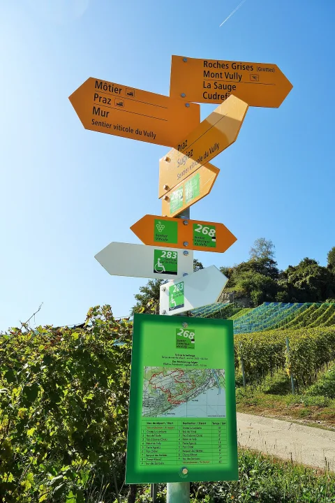 Mont-Vully — Paebi / Wikimedia Commons / CC BY-SA 4.0