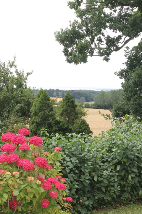 Faaborg-Midtfyn — Huurenkamp / Wikimedia Commons / CC BY 3.0
