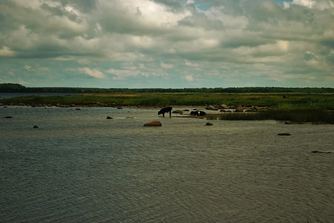 Hiiumaa — Carol Rennebaum / Wikimedia Commons / CC BY-SA 3.0