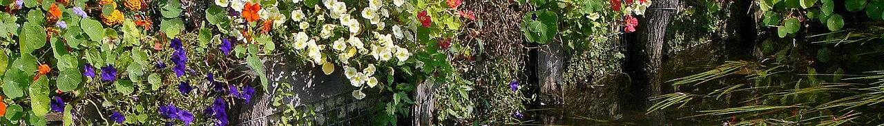 Somme — Hortillonnages_d'Amiens_230908_05.jpg: Vassil
derivative work: Inkey / Wikimedia Commons / CC BY 3.0