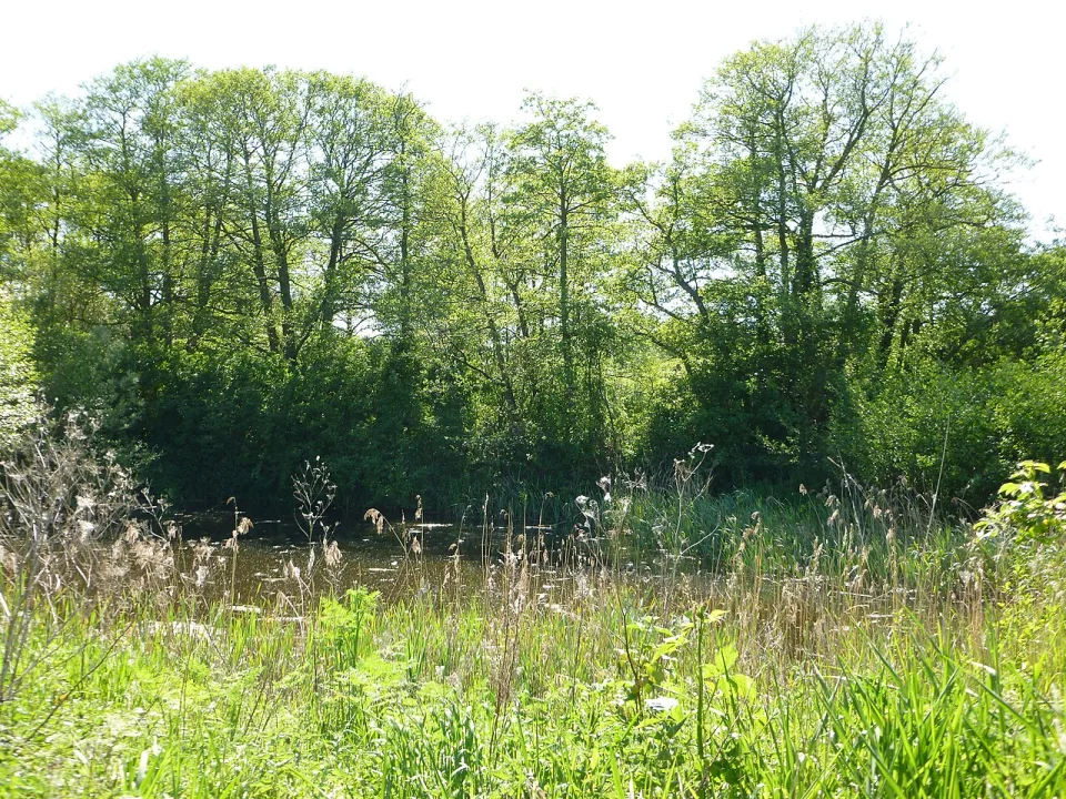 Bassetlaw — Gareth Hart / Wikimedia Commons / CC BY-SA 3.0