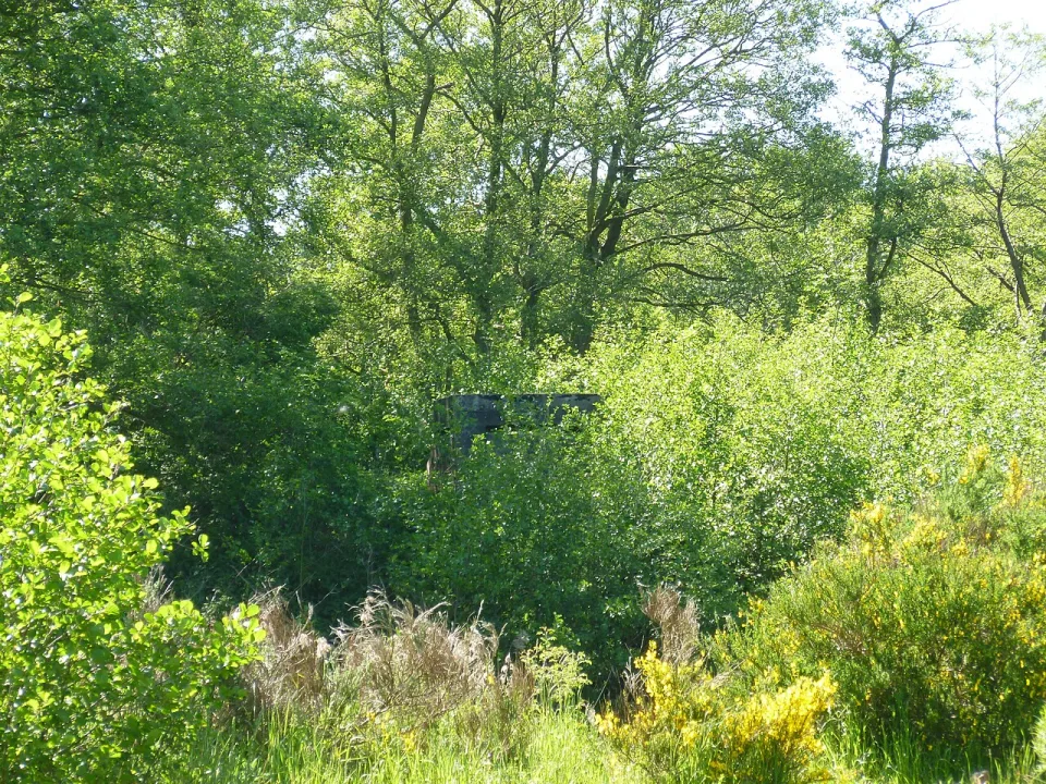 Bassetlaw — Gareth Hart / Wikimedia Commons / CC BY-SA 3.0
