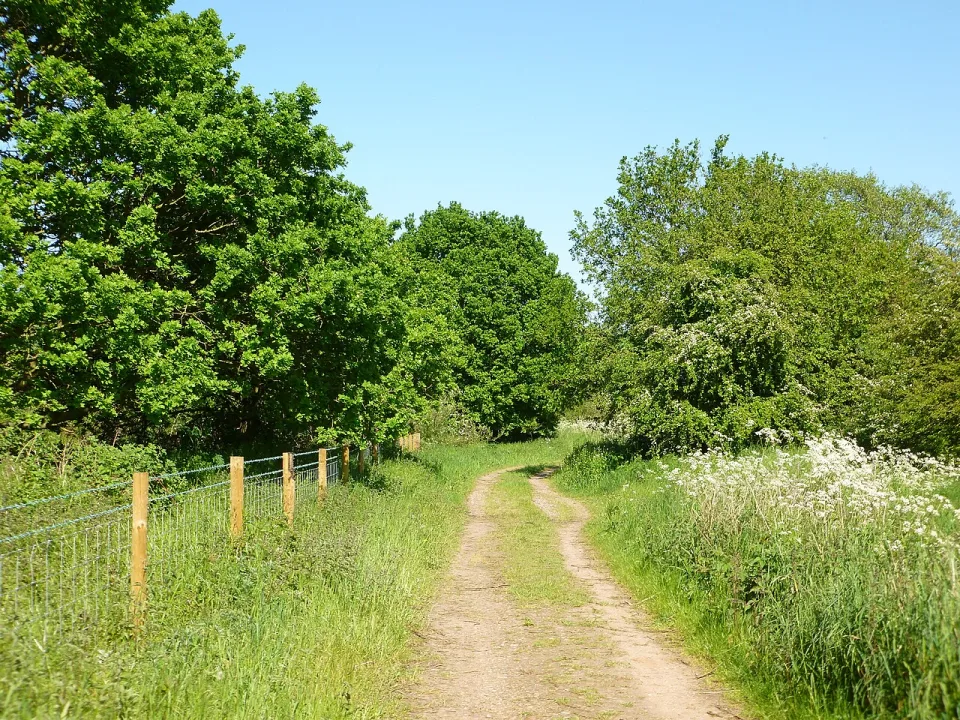 Bassetlaw — Gareth Hart / Wikimedia Commons / CC BY-SA 3.0