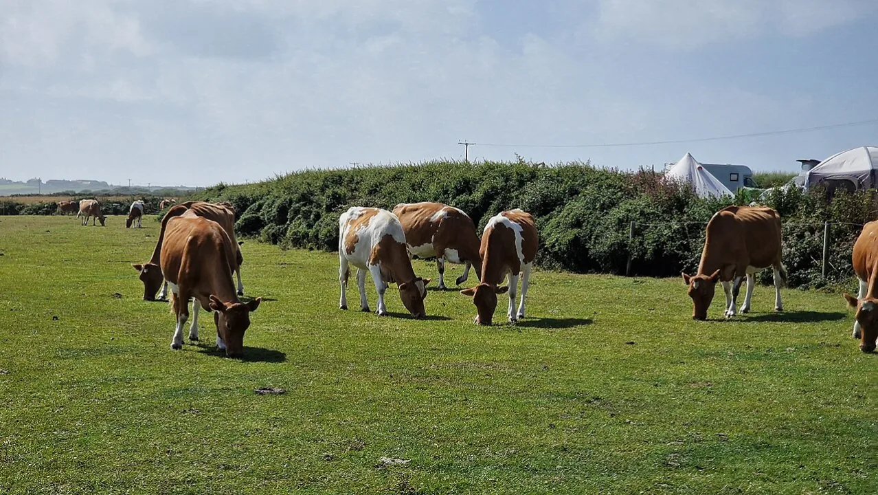 Cornwall — Tom Corser / Wikimedia Commons / CC BY-SA 3.0