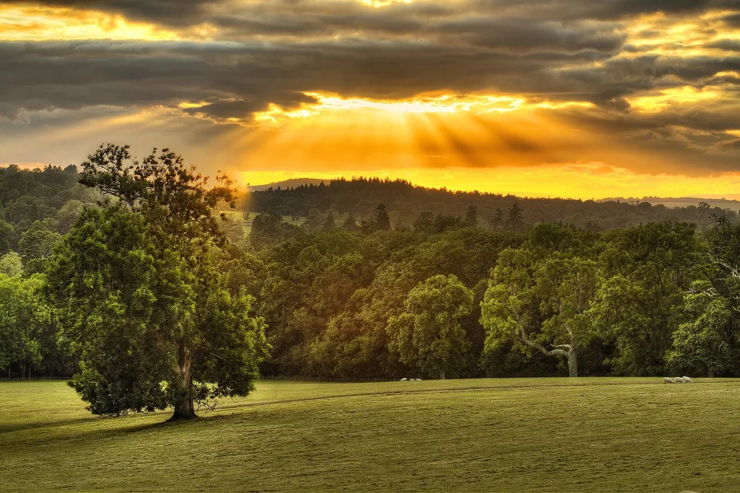 Dorset — Lies Thru a Lens / Wikimedia Commons / CC BY 2.0
