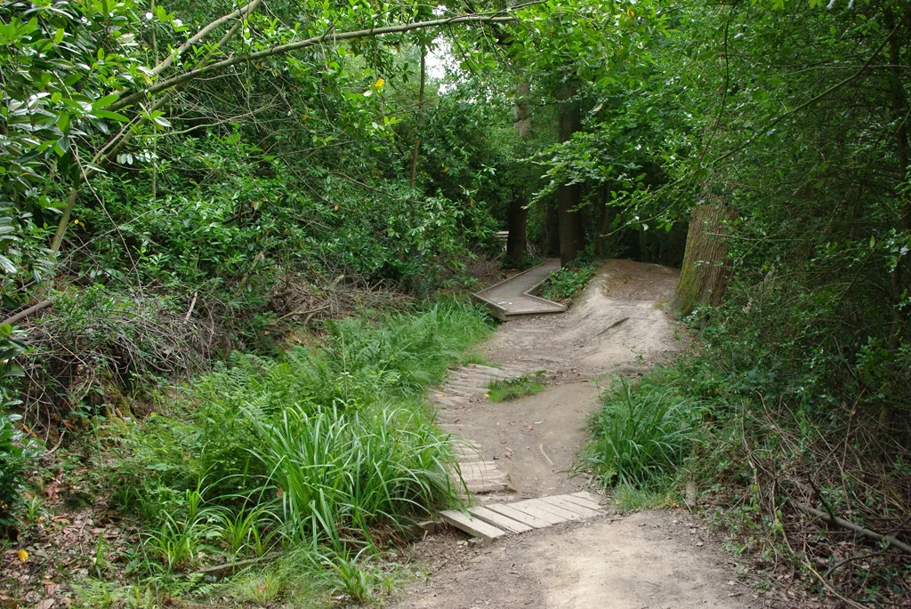 Horsham — Robin Webster  / Wikimedia Commons / CC BY-SA 2.0