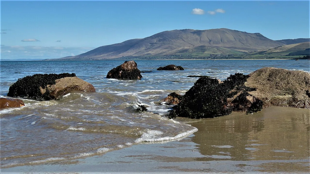 Kerry — Maoileann / Wikimedia Commons / CC BY-SA 4.0