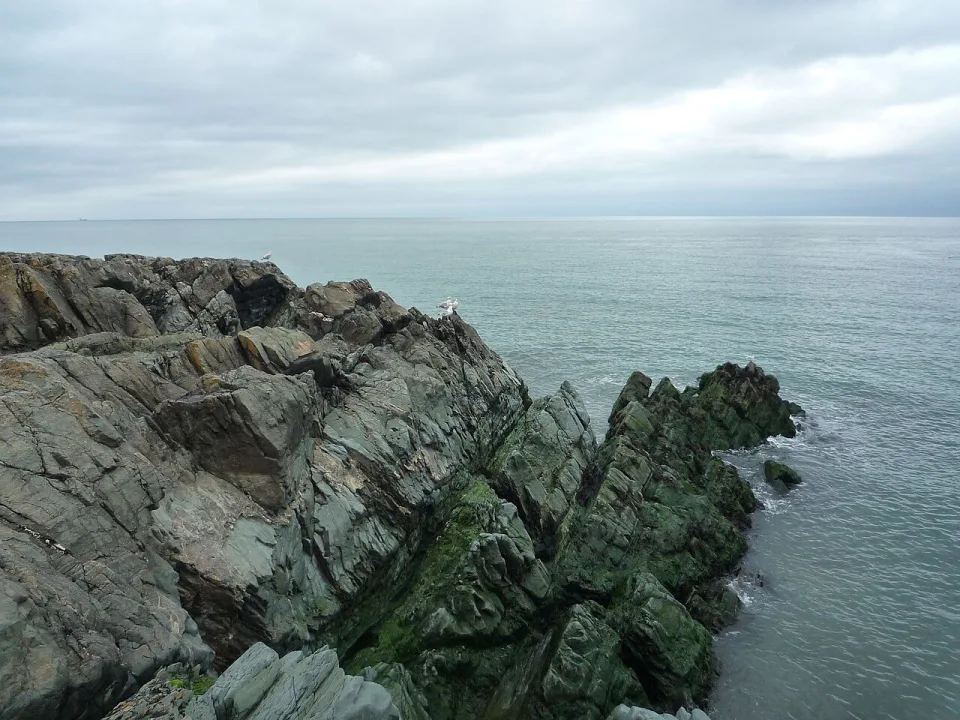 Wicklow — Sjaak Kempe from Groningen, The Netherlands / Wikimedia Commons / CC BY 2.0