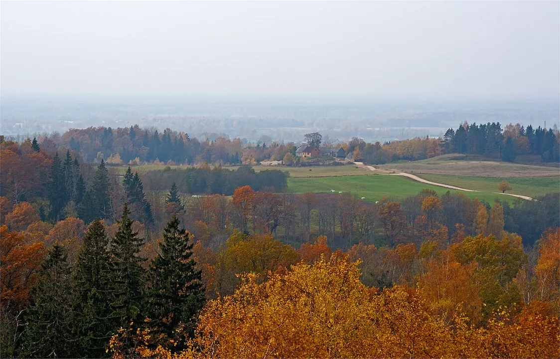 Talsu — prostovovka / Wikimedia Commons / CC BY 3.0