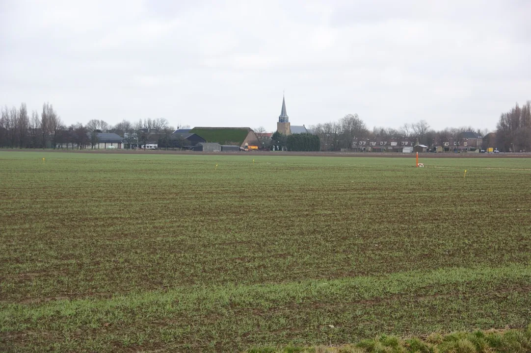 Hoeksche Waard — JAHvdBerg at nl.wikipedia / Wikimedia Commons / CC BY-SA 3.0