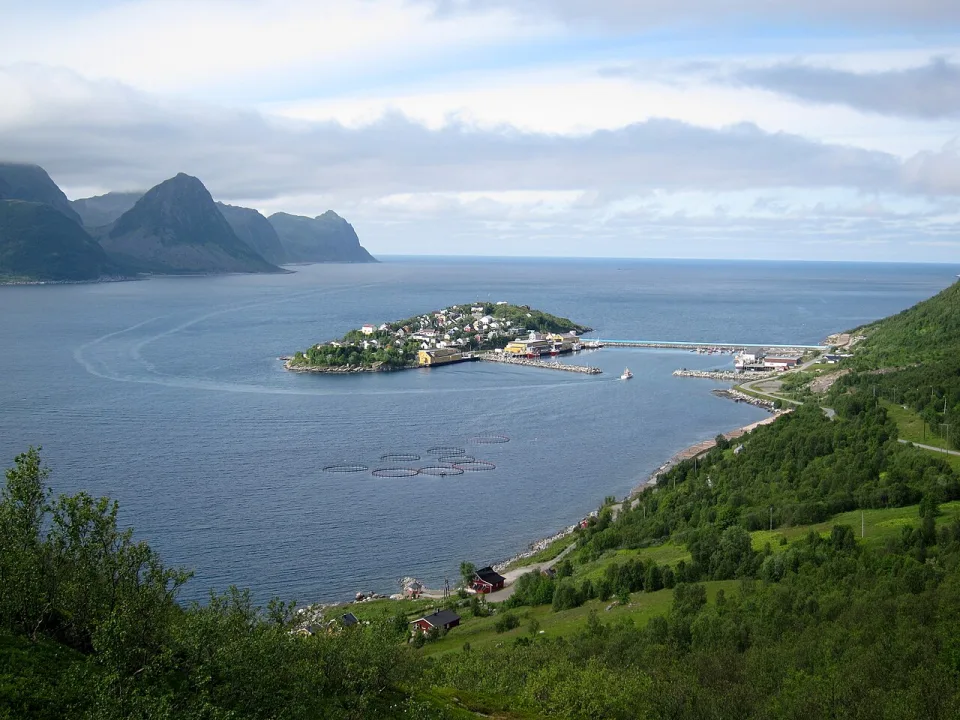 Senja — Nelson Minar from San Francisco, USA / Wikimedia Commons / CC BY-SA 2.0