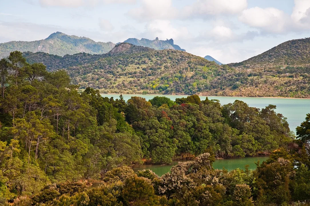 Northland — Phillip Capper from Wellington, New Zealand / Wikimedia Commons / CC BY 2.0