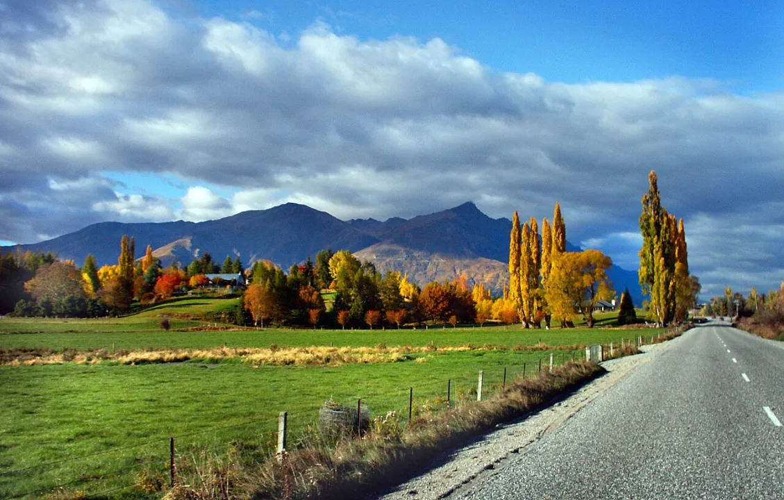 Otago — Bernard Spragg. NZ from Christchurch, New Zealand / Wikimedia Commons / Public domain