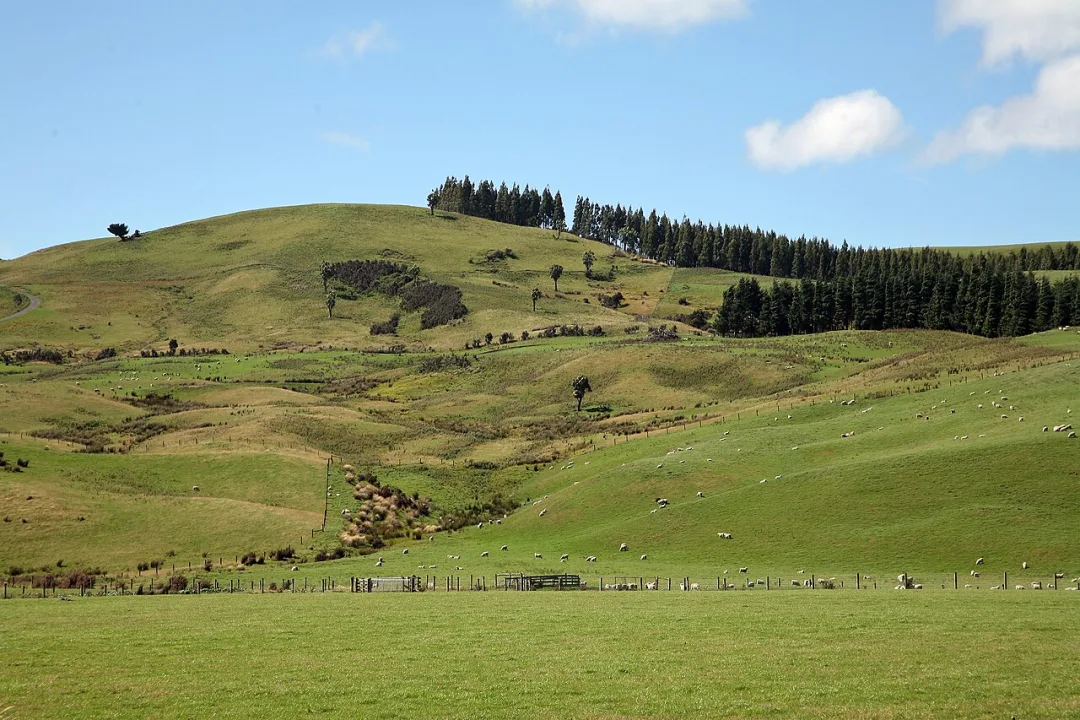 Southland — W. Bulach / Wikimedia Commons / CC BY-SA 4.0