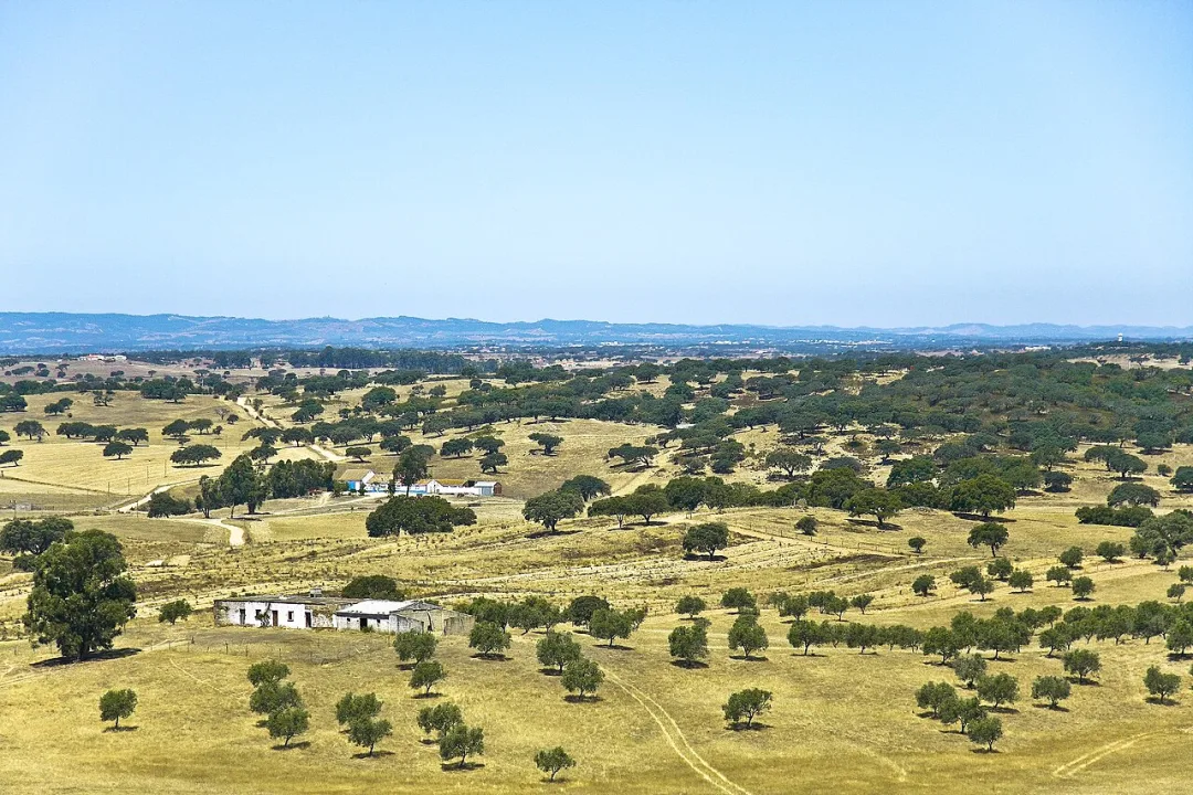 Almodôvar — Vitor Oliveira from Torres Vedras, PORTUGAL / Wikimedia Commons / CC BY-SA 2.0