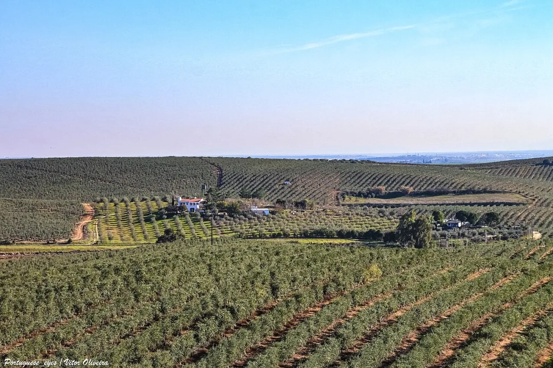 Campo Maior — Vitor Oliveira from Torres Vedras, PORTUGAL / Wikimedia Commons / CC BY-SA 2.0