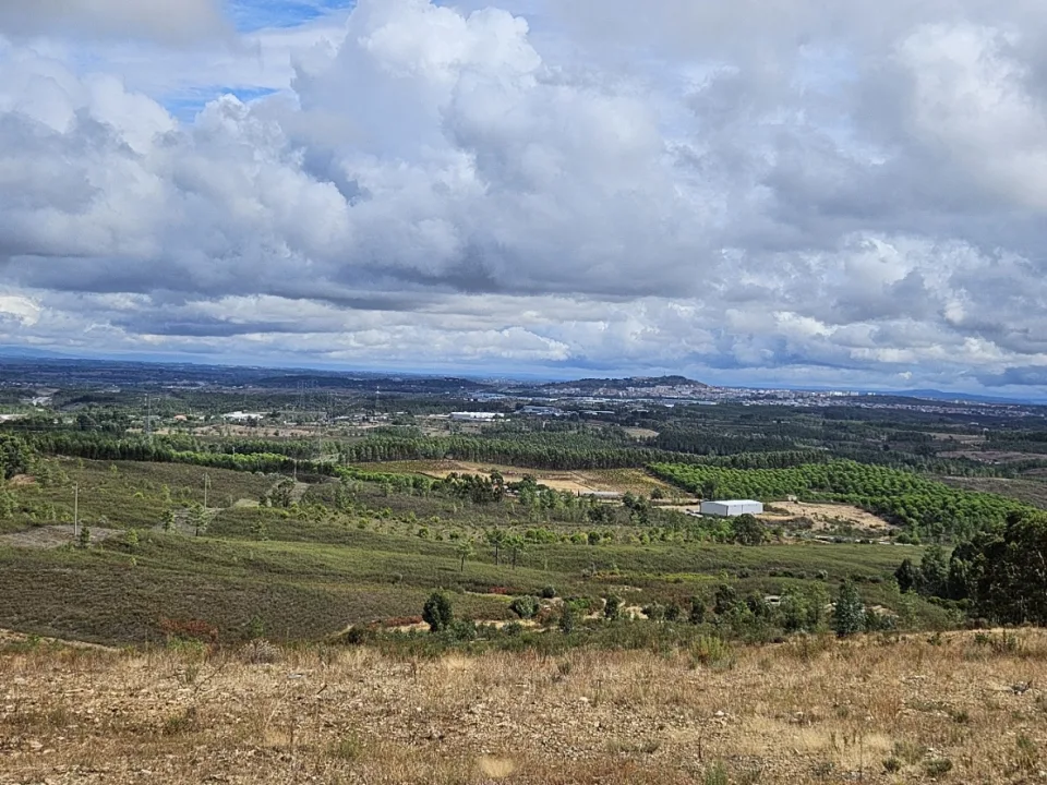 Castelo Branco — GualdimG / Wikimedia Commons / CC BY-SA 4.0