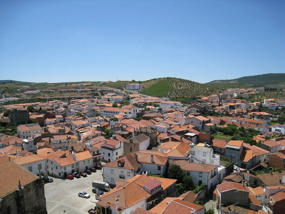 Freixo de Espada à Cinta — Carlos Cunha / Wikimedia Commons / CC BY-SA 3.0