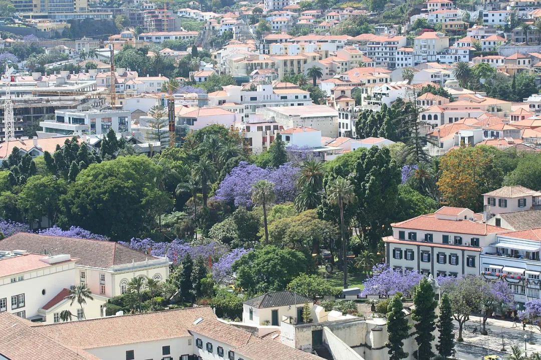 Funchal — Andy Hawkins / Wikimedia Commons / CC BY-SA 2.0