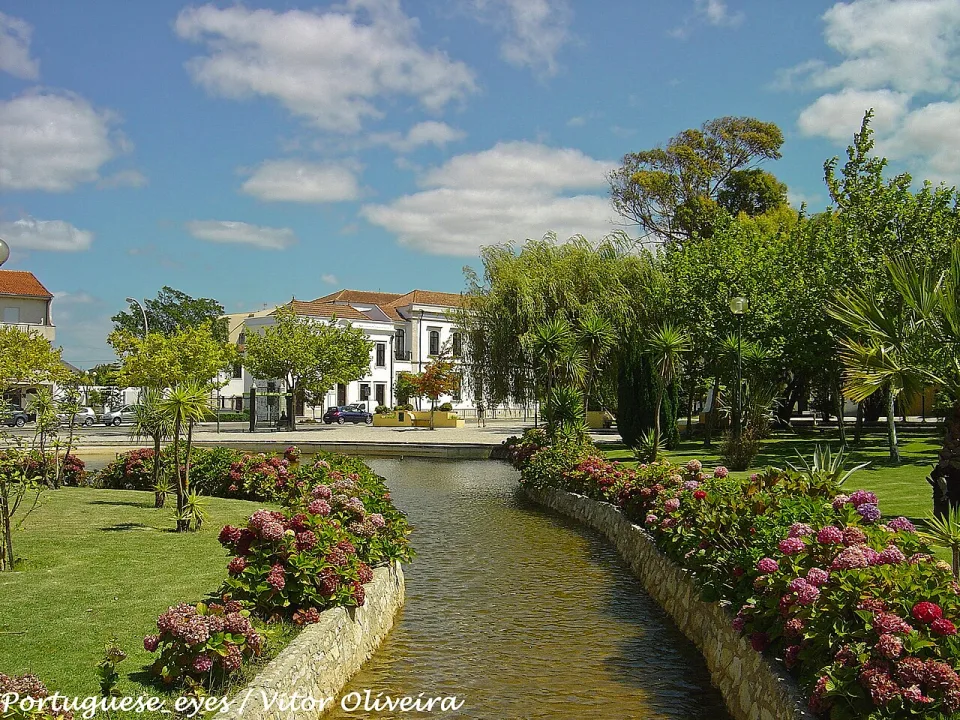Mira — Vitor Oliveira from Torres Vedras, PORTUGAL / Wikimedia Commons / CC BY-SA 2.0