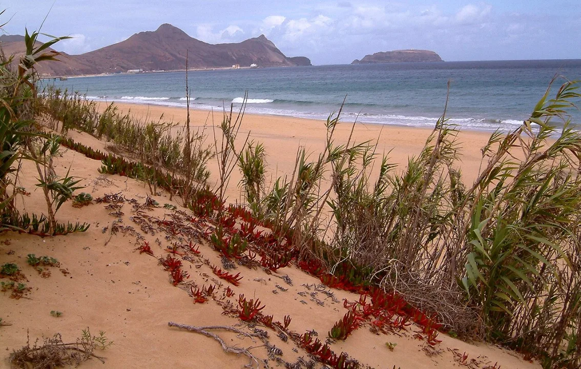 Porto Santo — Hedwig Storch / Wikimedia Commons / CC BY-SA 3.0