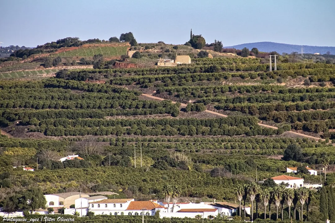 Silves — Vitor Oliveira from Torres Vedras, PORTUGAL / Wikimedia Commons / CC BY-SA 2.0