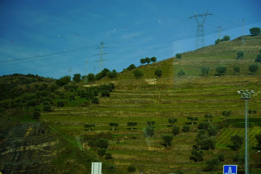 Viseu — Ray Swi-hymn from Sijhih-Taipei, Taiwan / Wikimedia Commons / CC BY-SA 2.0