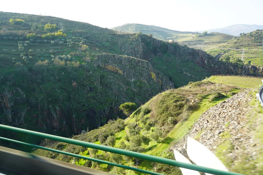 Viseu — Ray Swi-hymn from Sijhih-Taipei, Taiwan / Wikimedia Commons / CC BY-SA 2.0