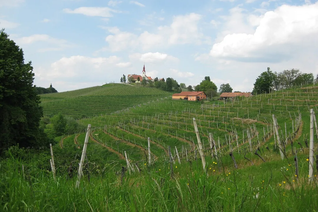 Ormož — Sl-Ziga / Wikimedia Commons / Public domain