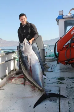 Atlantic bluefin tuna — Rafa Gallut / Wikimedia Commons / CC BY-SA 3.0