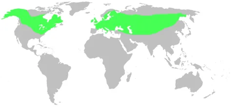 Northern pike — Oleksii0 / Wikimedia Commons / CC BY-SA 3.0
