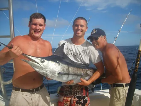 White marlin — Nugget04 / Wikimedia Commons / CC BY 2.0