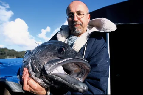 Wreckfish — Stephane Lesbats (IFREMER, Pôle Images, Centre Bretagne - ZI de la Pointe du Diable - CS 10070 - 29280 Plouzané, France) / Wikimedia Commons / CC BY 4.0