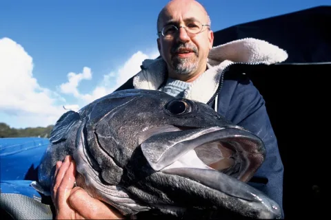 Wreckfish — Stephane Lesbats (IFREMER, Pôle Images, Centre Bretagne - ZI de la Pointe du Diable - CS 10070 - 29280 Plouzané, France) / Wikimedia Commons / CC BY 4.0
