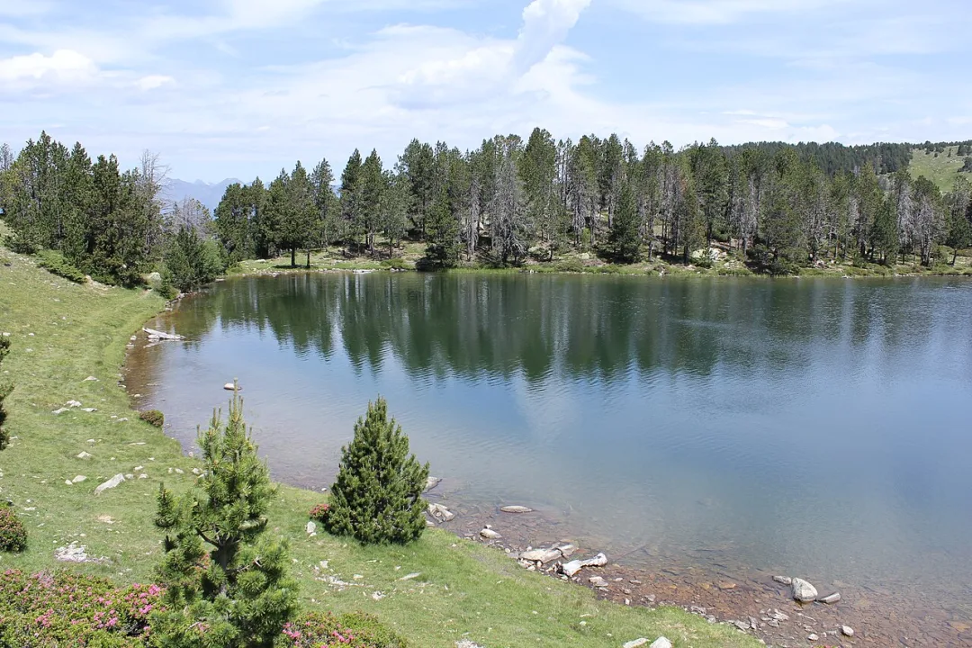 Estany de la Nou — Ferran Llorens / Wikimedia Commons / CC BY-SA 2.0