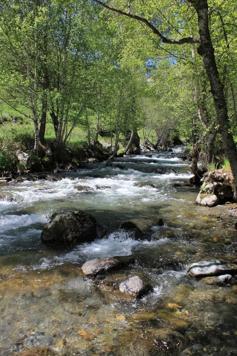 Valira del Nord — Ferran Llorens / Wikimedia Commons / CC BY-SA 2.0
