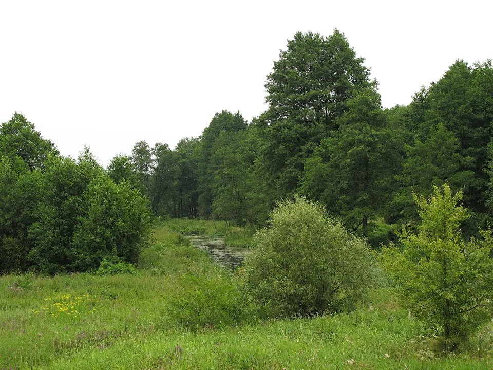 Świsłocz — Krzysztof Kundzicz / Wikimedia Commons / CC BY-SA 3.0