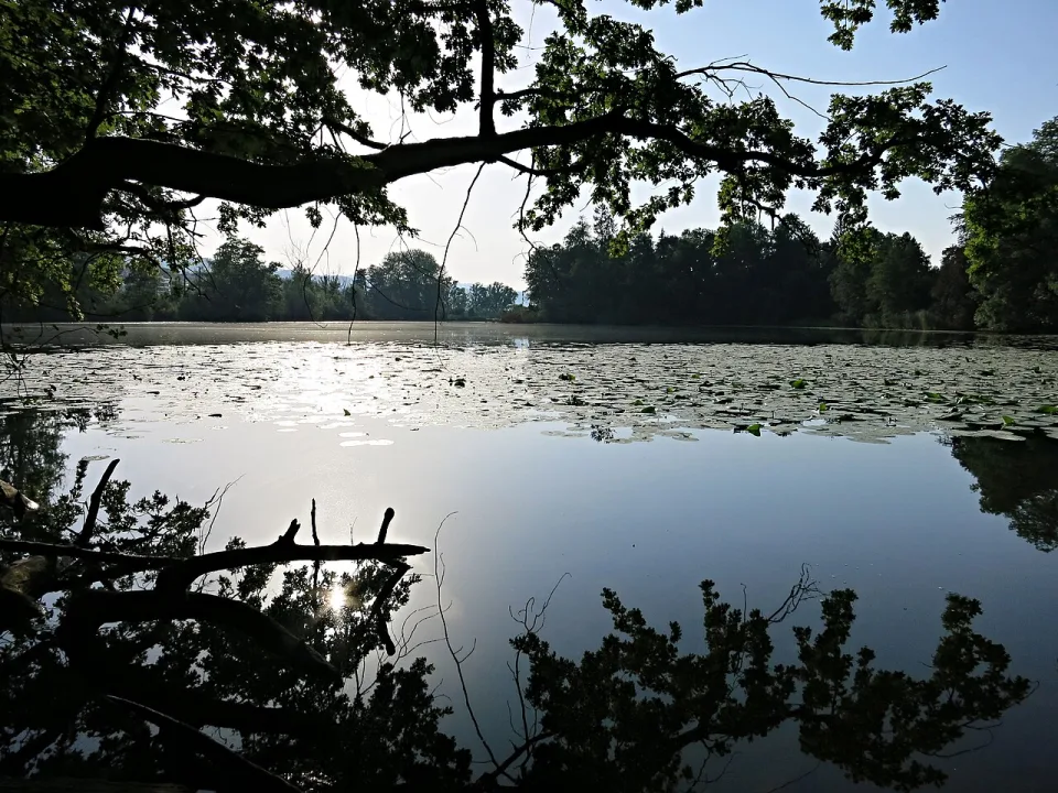 Ausee — Tschubby / Wikimedia Commons / CC BY-SA 3.0