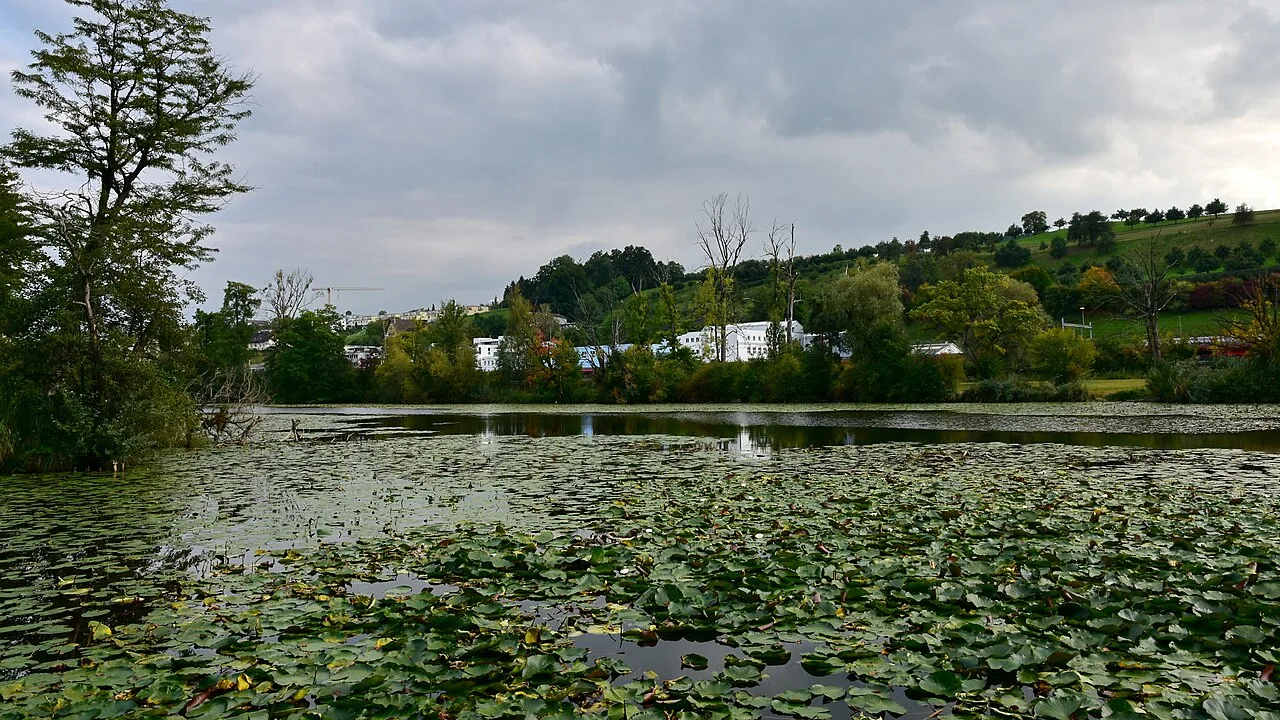 Ausee — Roland zh / Wikimedia Commons / CC BY-SA 3.0