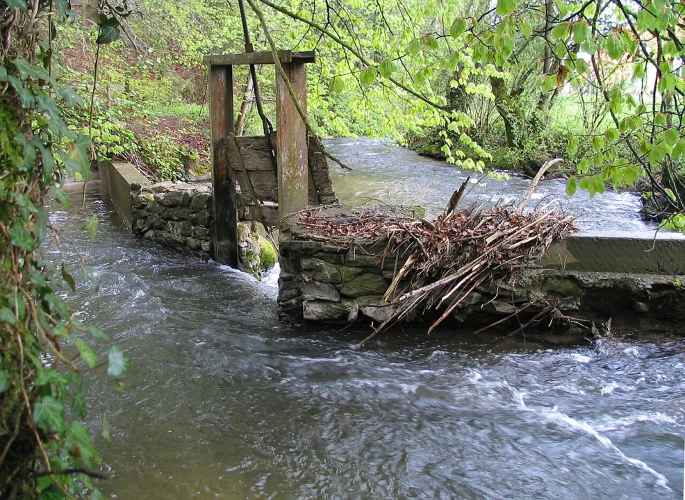 Biberen — Hadi / Wikimedia Commons / CC BY-SA 3.0