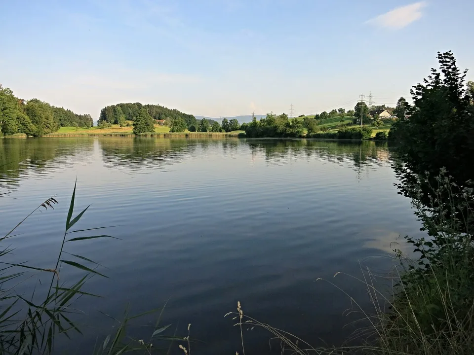 Horgenbergweiher — Tschubby / Wikimedia Commons / CC BY-SA 3.0