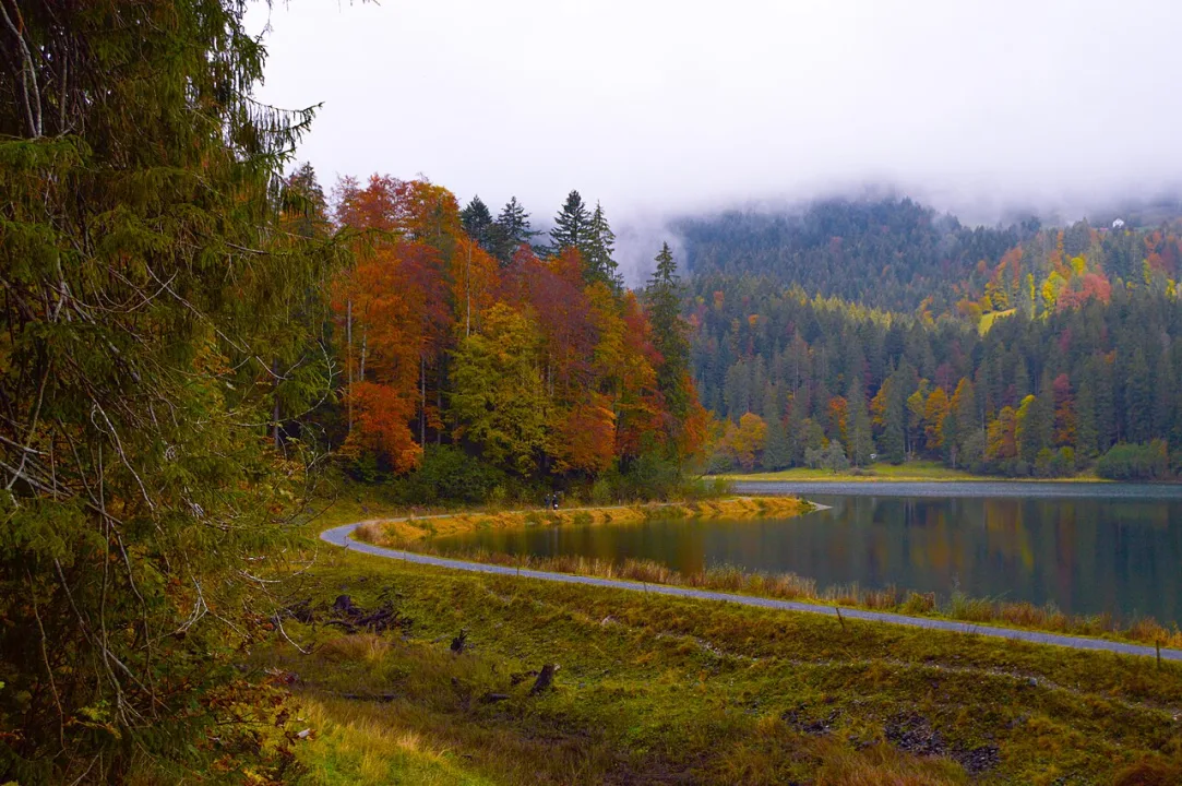 Obersee — Ninad Chitnis / Wikimedia Commons / CC BY-SA 4.0